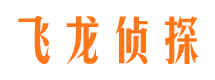 九台市调查公司